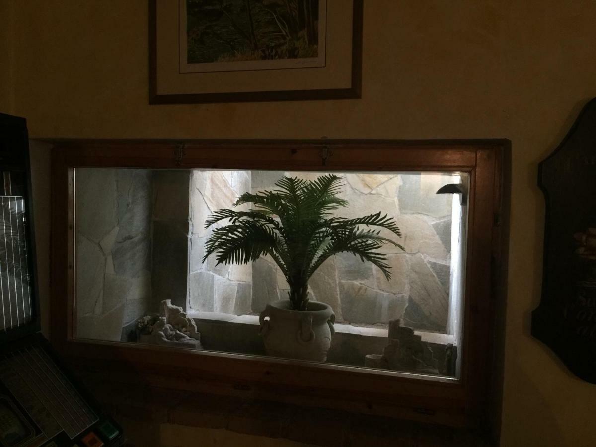 Casa Ruggy Διαμέρισμα Περούτζια Εξωτερικό φωτογραφία